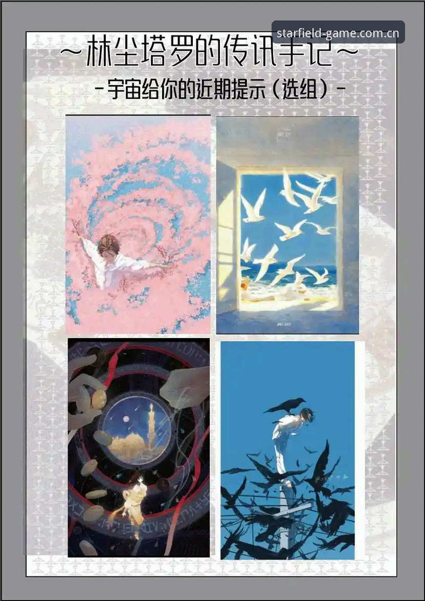 星空体育平台使用指南：从下载到实时数据，一份亲历者的手记